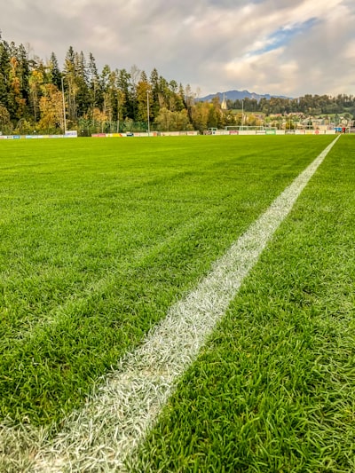 ملخصمباراةمانشسترسيتيوبرايتوناليومالسيتييتألقبفوزمريح